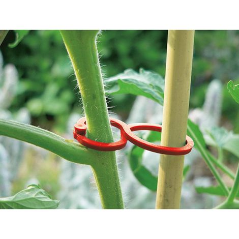 25 spezielle Tomatenclips - Rot - 6,2 cm NORTENE