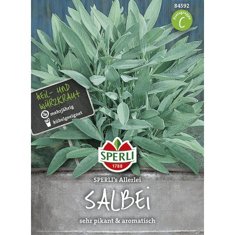 Sperli Echter Salbei Allerlei - Kräutersamen (1/2)