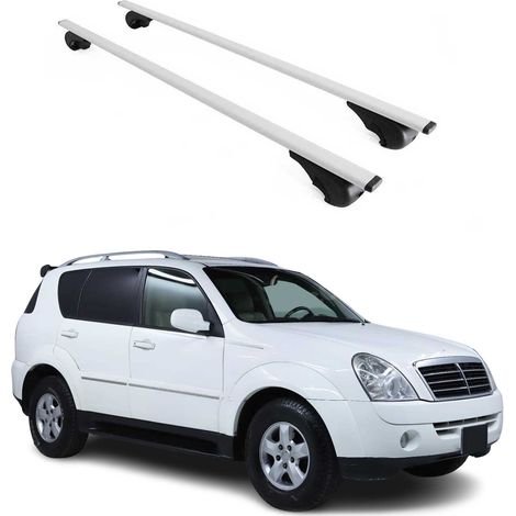 OMAC Barres de toit pour Ssangyong Rexton I 2001-2012 – TÜV / DIN 75302:2019 – Antivol inclus – Charge max 75 kg – 2 barres Argent (1/4)