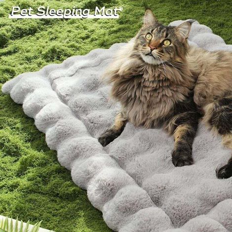 Lit d'intérieur en peluche pour chat avec fond antidérapant, en fausse fourrure douce, lavable, convient aux cages pour animaux/sols/canapés, 50 x 40 cm, gris. (1/3)