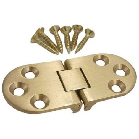 Charnières en Laiton avec Vis pour Table Pliante et Porte de Meuble (1/4)