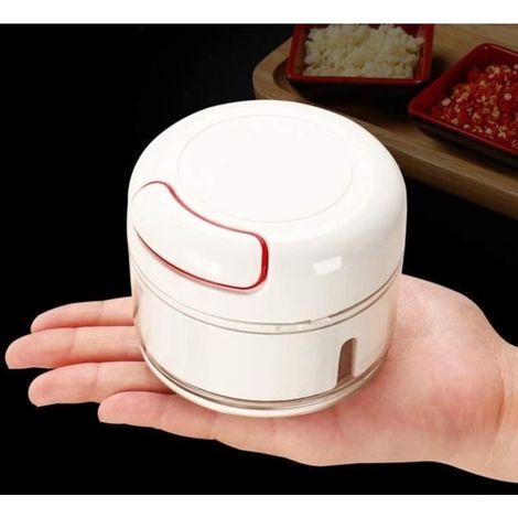 Garlic Press Manual garlic press, grinder, meat slicer, vegetable chopper, fruit, nut grinder (1/4)