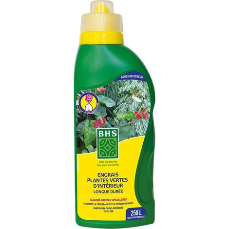 Engrais BHS EPVI1 pour Plantes Vertes – Nutrition Optimale en Intérieur (1/2)