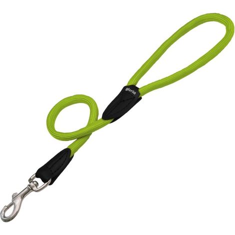 Ceinture de chien - GLORIA - Ronde en Nylon - 60 cm - Couleur verte - Durable