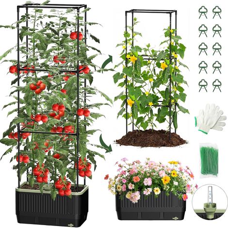 Pot à tomates auto-arrosant avec treillis, treillis cages à tomates rectangulaires pour carré potager, bac à tomates pour pots de jardin, terrasse, intérieur et extérieur (1 pièce) (1/5)