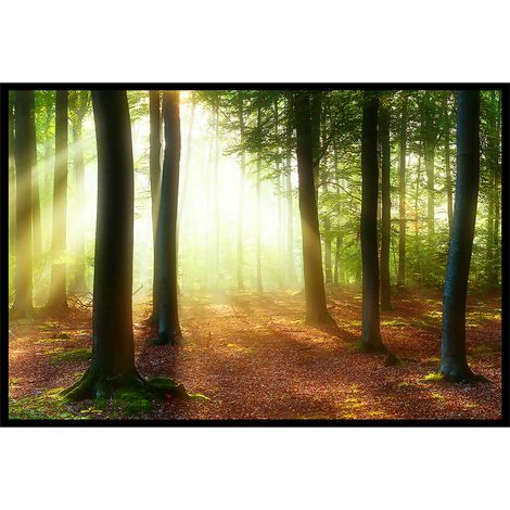 Affiche encadrée forêt lumineuse et rayons de soleil (1/5)