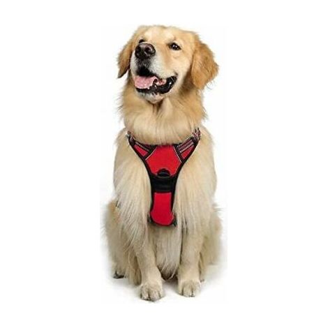 Large Dog Harness, Red, Reflective Anti-Tear Vest, Adjustable Large Dog Harness, Front Attachment with Leash Hooks for Hiking, Car Travel, American Staffordshire Terrier, Border Collie - Sunny (1/5)