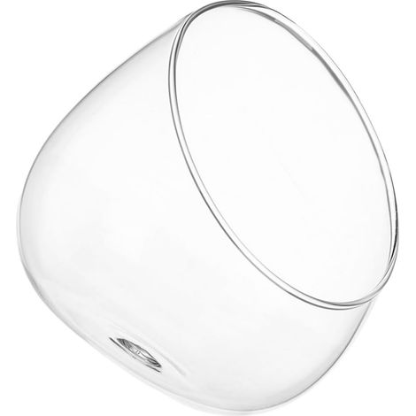 Vase à Plantes en Verre Ouverture Inclinée, Bol Globe Unique pour Terrarium de Succulentes, Décoration Intérieure Élégante et Présent pour Famille ou Amis (1/5)