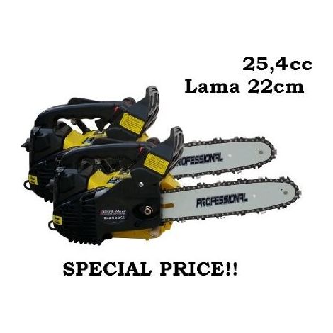 Doppia/2 pezzi Motosega per potatura 25cc (25,4cc) lama 25cm Bleked Finker - ZL2500