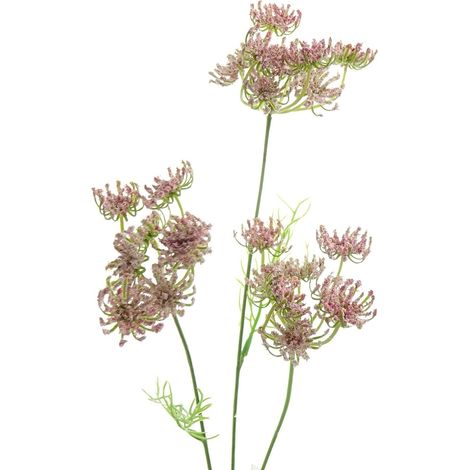GASPER Knorpelmöhre - Ammi majus Rosa 52 cm - Kunstblumen