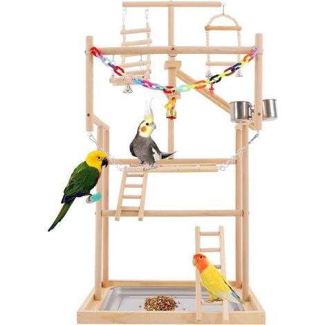 Beechwood Bird Stand with Feeders, Ladder, Swing, and Tray for Parakeets and Cockatiels (1/5)