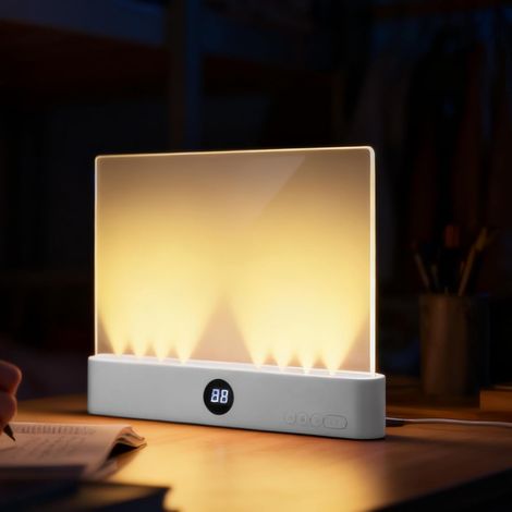 Lampe de lecture LED rechargeable avec minuterie, lumière