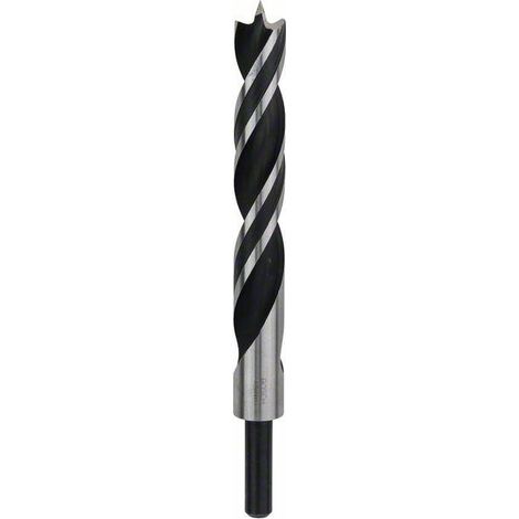 BOSCH PUNTA D. 18 MM L. 130 / 180 MM C/COD. 10 MM LEGNO