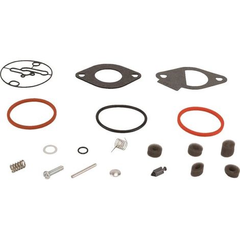 Kit de réparation carburateur BRIGGS ET STRATTON 796184 (1/2)
