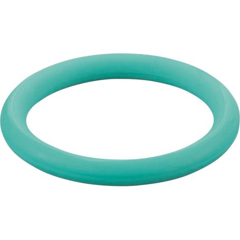 Rems O-Ring 060244