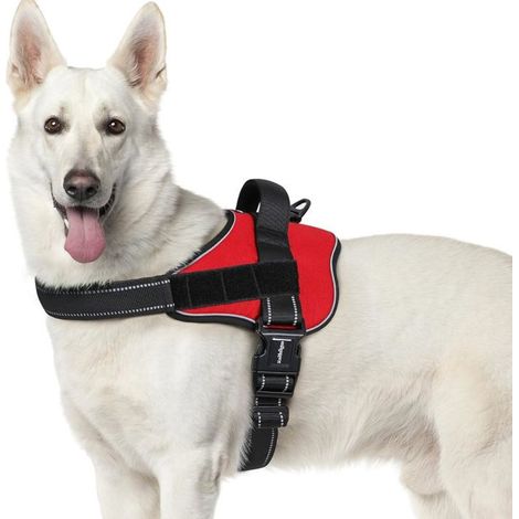 Harnais Chien Harnais Anti Traction pour Chien Réfléchissant Réglable Respirant Facile à Mettre avec Poignée Contrôle Rouge XL