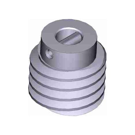 Vis sans fin – Remplacement Bk-1200P CAME 119RIBK049