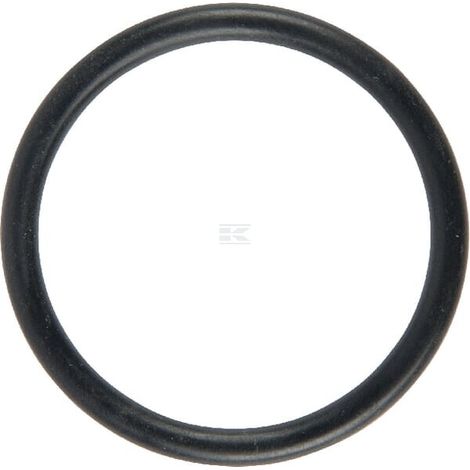 Anello 29.2x3 LEMKEN 37810283