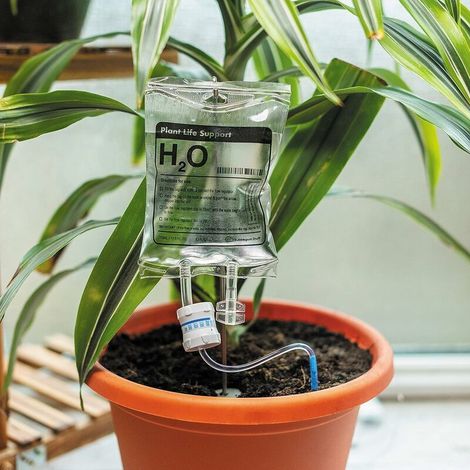 - Dispositif d'irrigation goutte à goutte pour plantes d'intérieur Système d'arrosage automatique – Accessoires pour la maison Arrosage des plantes d'intérieur, (1/5)