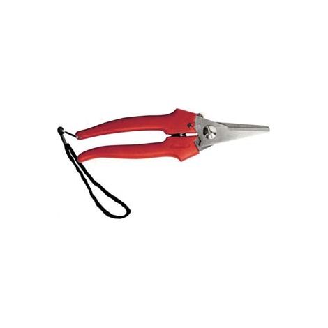 FORBICE RACCOLTA LAMA LUNGA- - cm.19 - 31327 - 12 pezzi AUSONIA