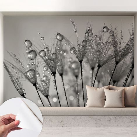 Fotomurale adesivo - parete decorativa - decorazione casa - stile moderno parete - Delicatezza bagnata 208x146 cm (1/5)