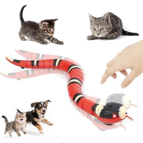 Jouet serpent sensoriel électrique USB, simulation interactive pour chat, langue rétractable et queue qui bouge, farce réaliste Halloween pour chien et chat (1/5)