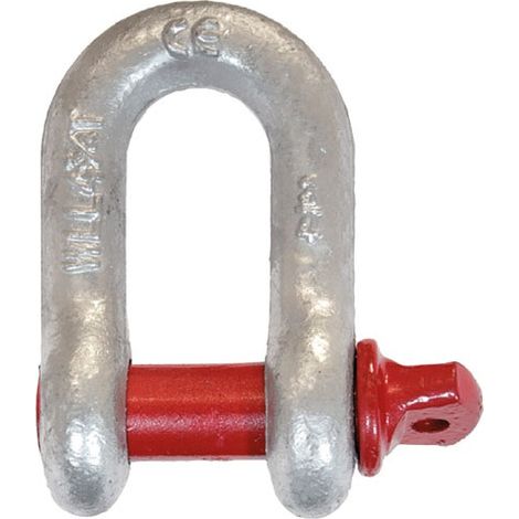 Fermagli dritti in acciaio zincato, larghezza 17 mm, asse 11 mm, capacità 1000 kg, Uc1 - Chapuis