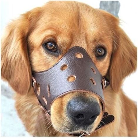 Muselière anti-aboiement en cuir pour chiens de grande, petite, moyenne et grande taille. (1/4)