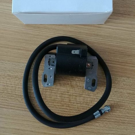 Bobines d'allumage Briggs & Stratton 398811 398265 395492 395326 394963, adaptées aux moteurs Briggs & Stratton. (1/4)