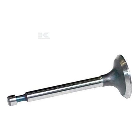 Soupape d'admission BRIGGS & STRATTON FGP014354