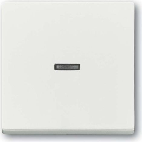 Interrupteur busch-jaeger 1789 n-884 sans vis IP20