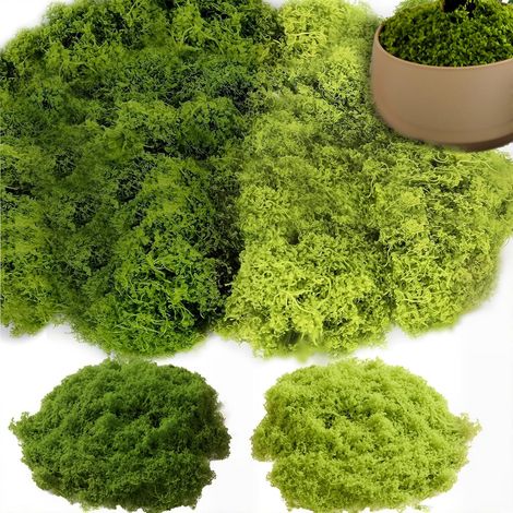 100g Artificial moss for decoration and crafts, dark green artificial moss for DIY projects on walls, nativity scenes, aquariums, nativity models, Christmas (dark green 50g + light green 50g) (1/5)