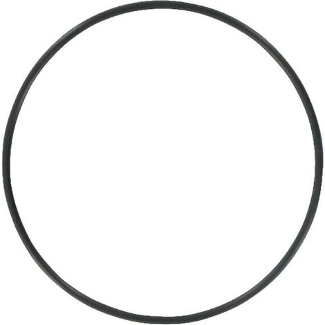 O-Ring Hubeinrichtungszylinder CASE IH 3057615R1
