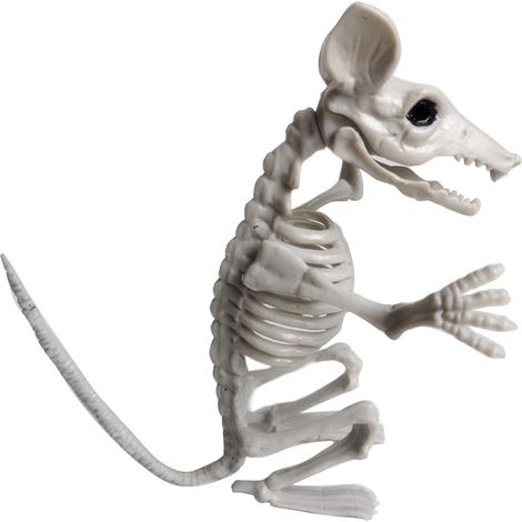Squelette d'animal d'Halloween, os réalistes pour décoration de fête horrifique, simulation squelette effrayant. (1/5)