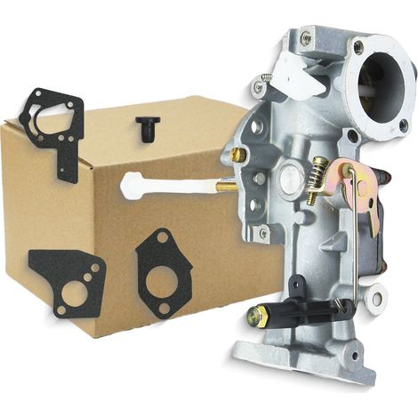 Convient pour carburateur Briggs & Stratton 495459 492645 490524 692784 5HP (1/4)