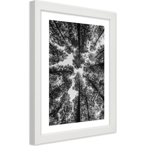 Quadro con cornice, Corone di alberi - 20x30 (1/5)