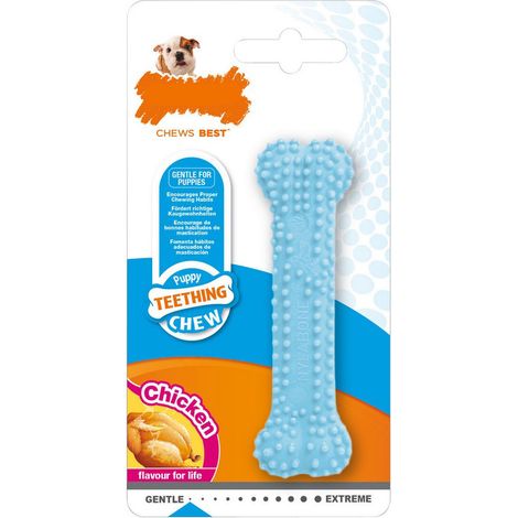 Giocattolo da mordere per cani Nylabone Azzurro Pollo Blue Termoplastico Taglia XS Cuccioli