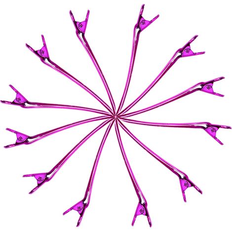 Lot de 12 pinces à cheveux en métal, pinces à cheveux en forme de canard, pinces de salon, outils de coiffure, pinces à cheveux (1/4)