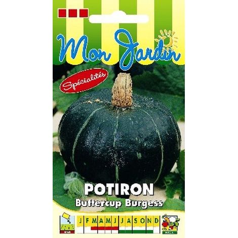 Potiron Buttercup Burgess - 5g