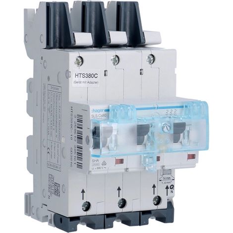 Hager HTS380C Hauptschalter 80A 400V robust (1/3)
