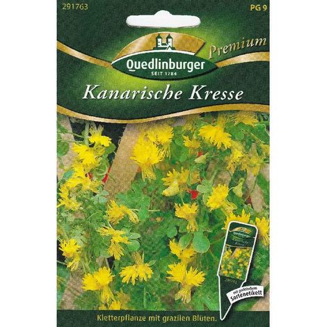 Quedlinburger Kanarische Kresse - Blumensamen (1/2)
