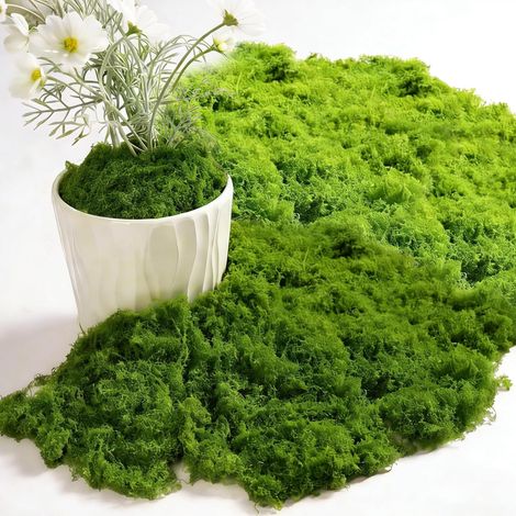 200g Mousse Artificielle Vert Foncé et Vert Clair 100g Chacune, Fausse Mousse Végétale pour Décoration Murale, Crèche, Aquarium, Modèles de Crèche, Plantes Artificielles, Bricolage Maison (1/5)