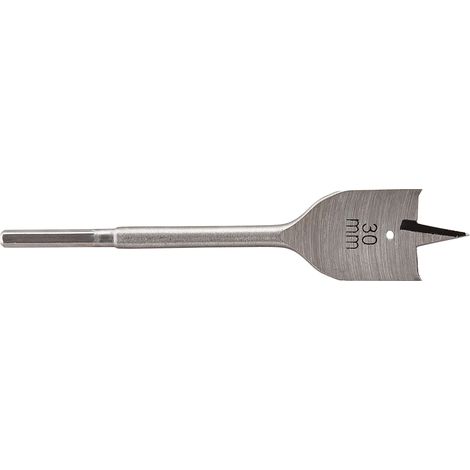 Mêche Plate Ws, Ø 30 mm, Longueur 152 mm, Queue 6 Pans, Pointe de Centrage Affûtée Argent (1/5)