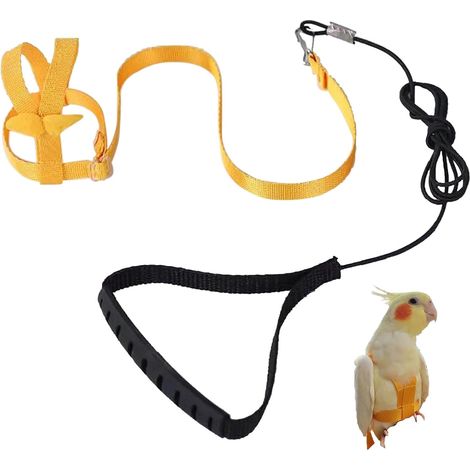 Harnais réglable pour Perroquet Laisse pour Animal Domestique Corde Anti-Morsure Sangle élastique pour Pigeon, Psittacus erithacus, Eclectus roratus, Cacatua galerita, Ara rouge, Big Cacatua galerita( (1/5)