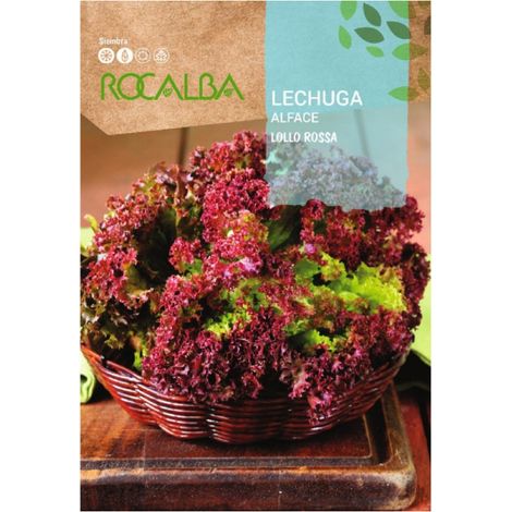 Rokalba Lollola Rossa 6G