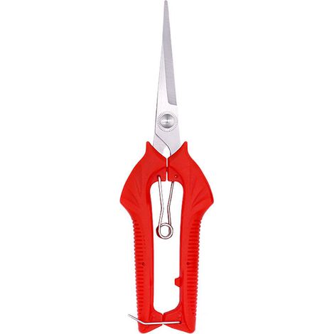 Secateurs En Acier Inoxydable - Tête Allongée - Pour Taille D'Arbres Fruitiers Et Bonsaï - 1 Pièce (1/5)