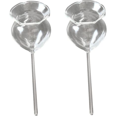 Lot De 2 Globes Darrosage en Verre pour Plantes - Dispositif Darrosage Automatique Élégant Et Pratique (1/5)