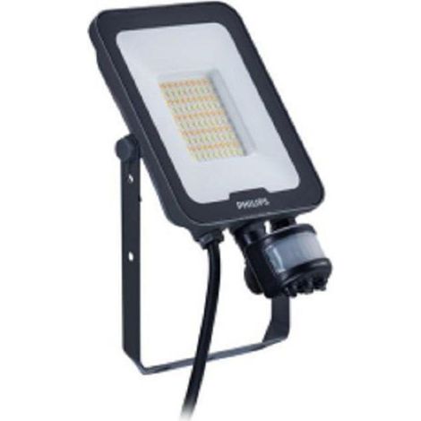 Philips BVP167 proyector exterior negro 30W 3600 lúmenes
