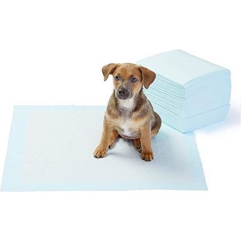 Tapis éducateurs - Lot de 50 - 56x56cm - Ultra-absorbant - Anti-fuites (1/4)