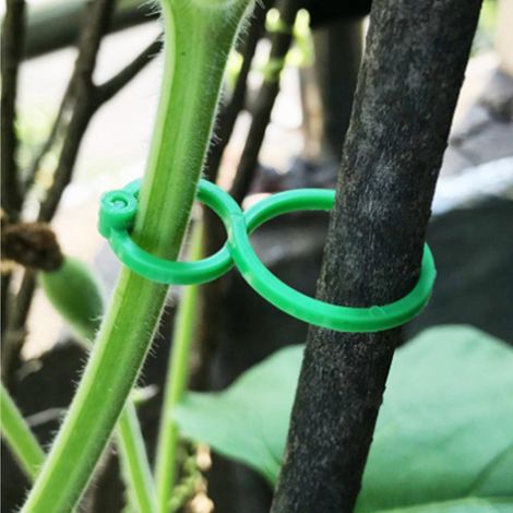 200 Pcs Small Clips De Jardin Support Pour Plantes Clips Twisty Plante Anneaux Pour Les Plantes Grimpantes
